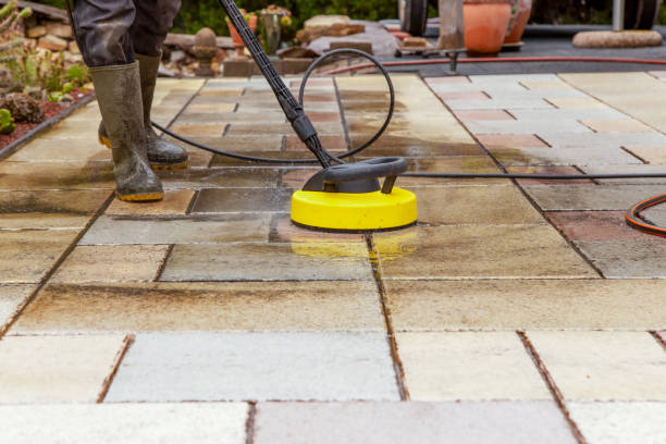 Animal Enclosure Cleaning in Lawrenceburg, KY